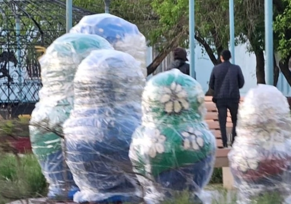 Фото: Instagram.com/@tipavlo.dar