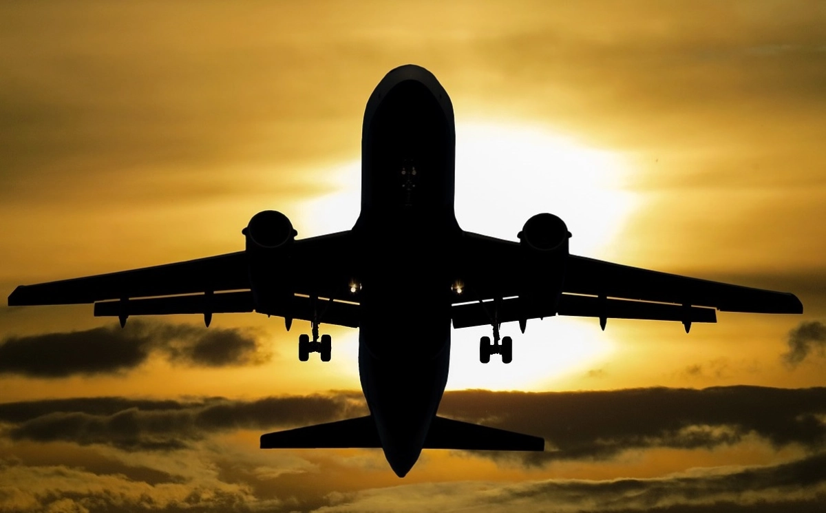 Фото: pixabay