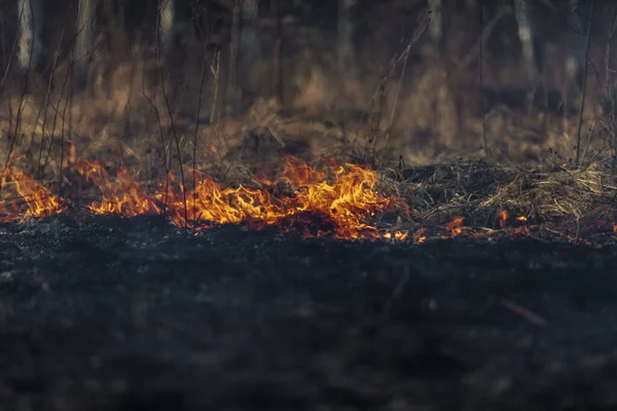 Фото: depositphotos.com