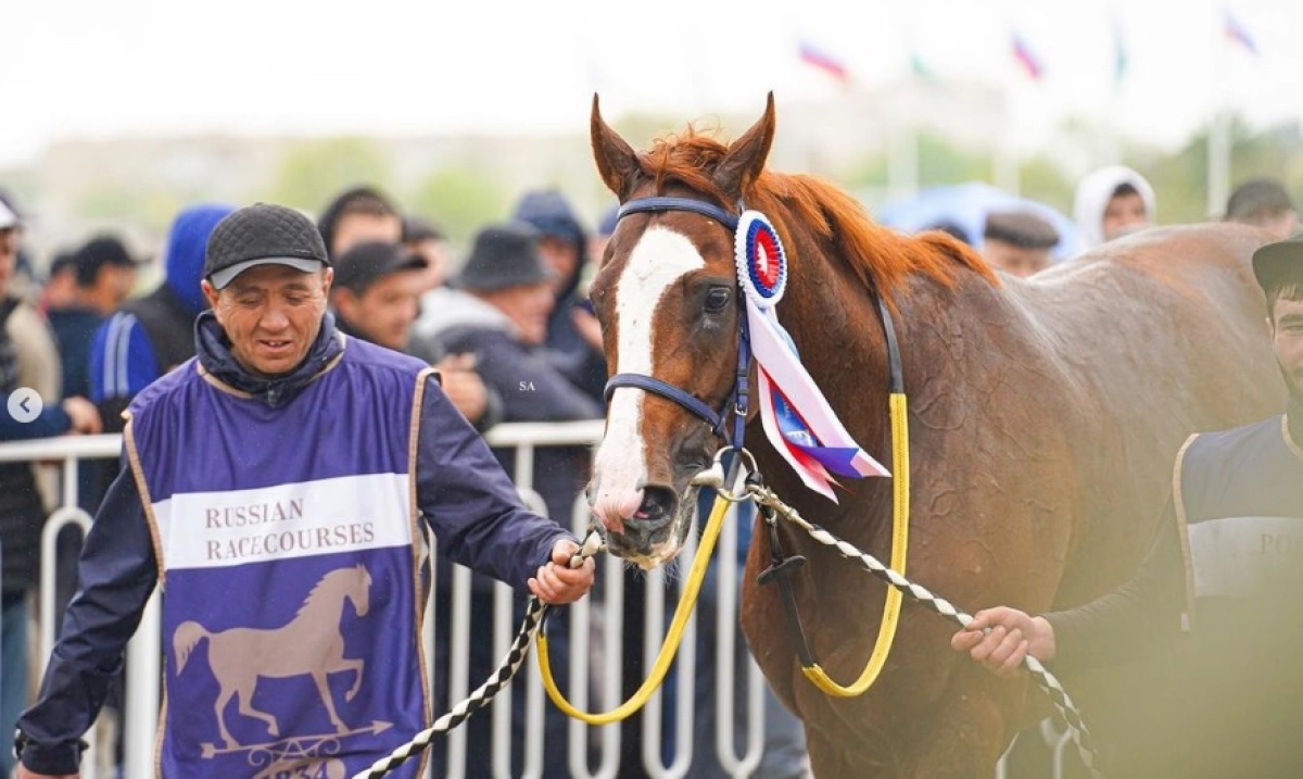 Фото: instagram.com/kabirkhan_qazaqstan