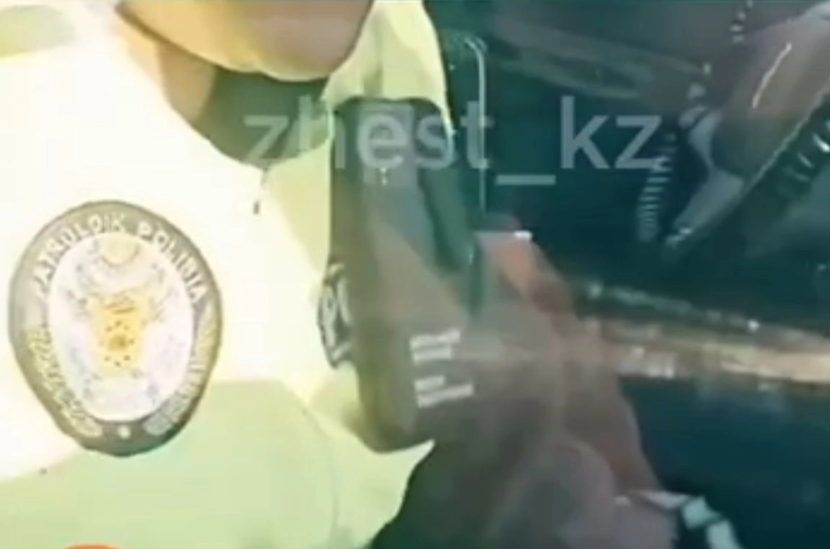 Фото: скриншот из видео