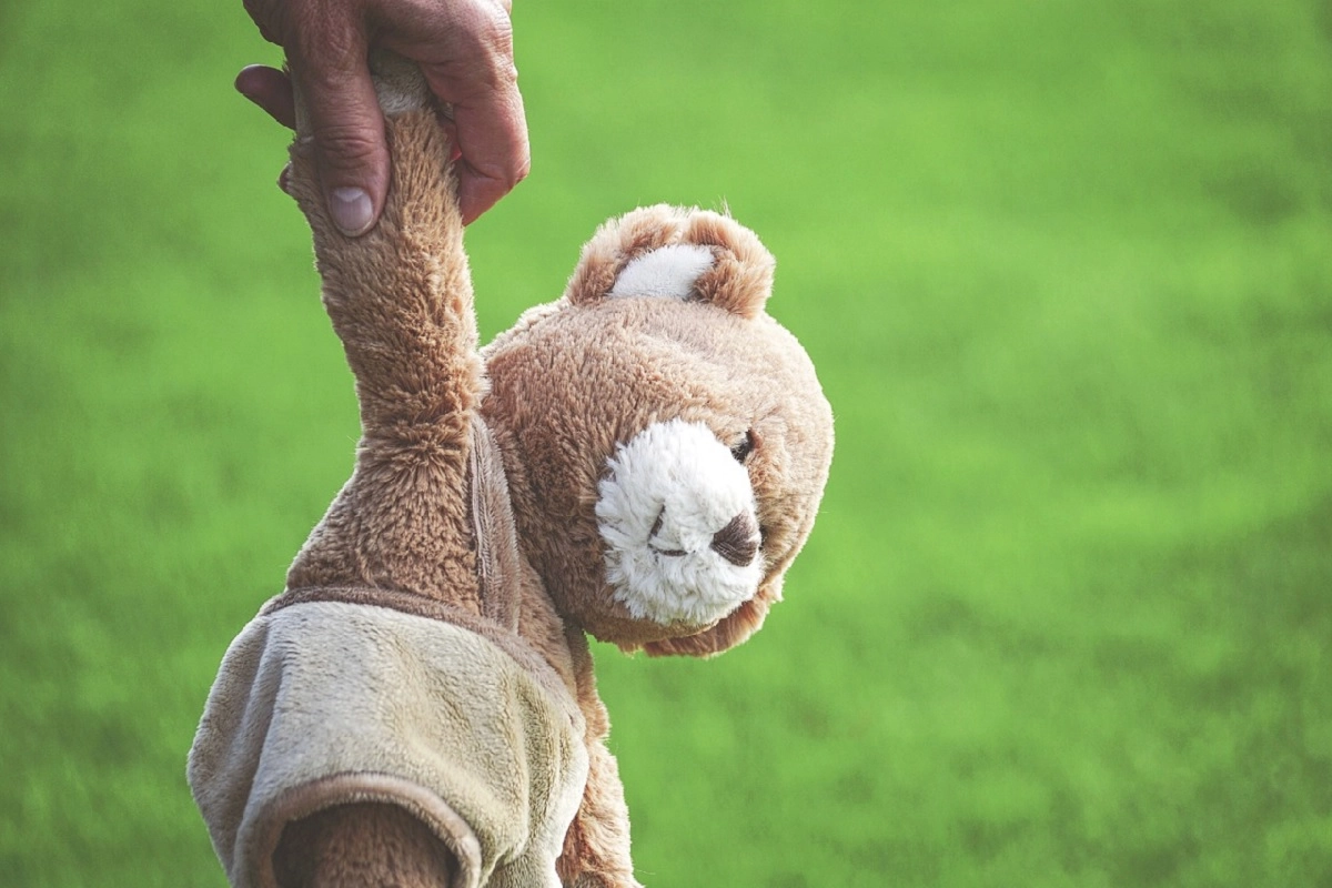 Фото: pixabay.com