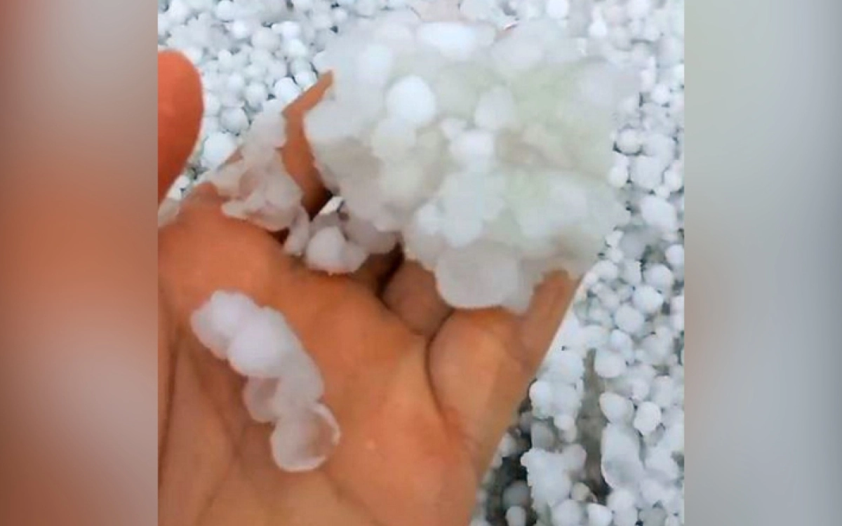 Фото: кадр из видео