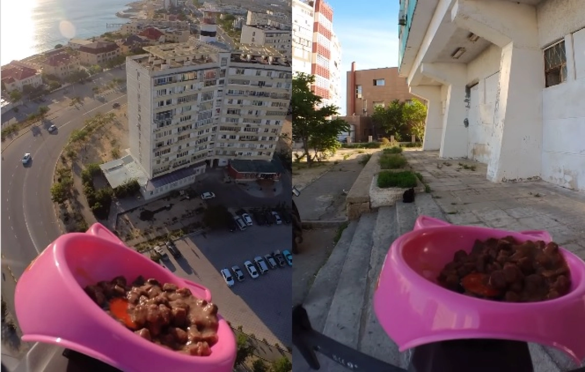 коллаж ИА «NewTimes.kz»/ кадр из видео instagram/azamat_sarsenbayev