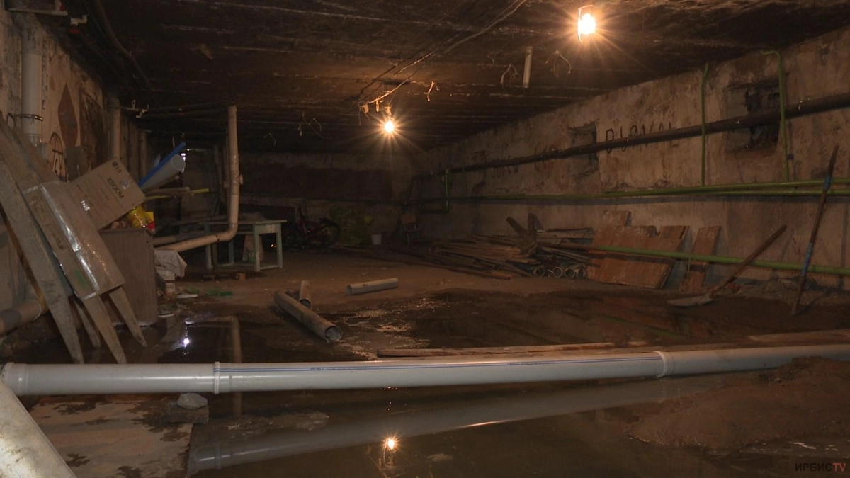 Фото: irbistv.kz