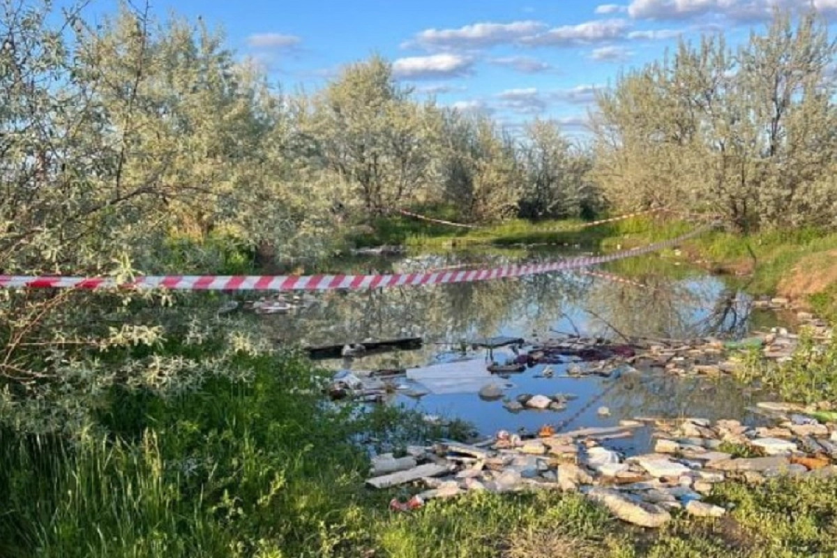 Фото: социальные сети