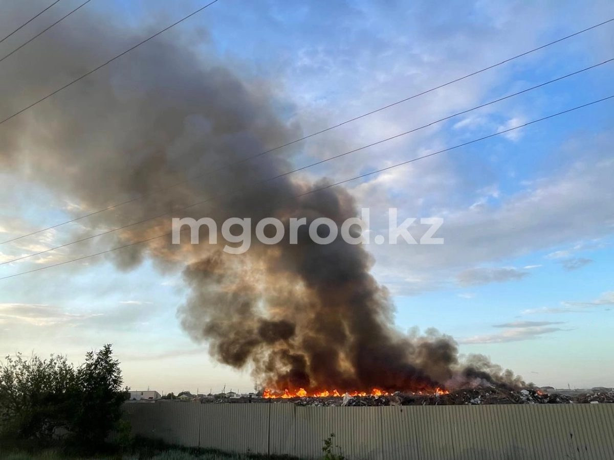 Фото: Мой город