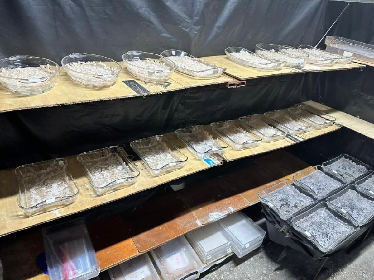 Фото: КНБ РК