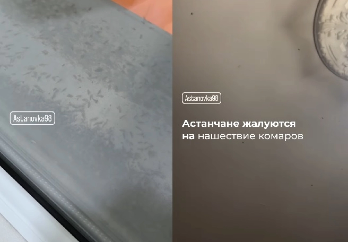 Кадр из видео