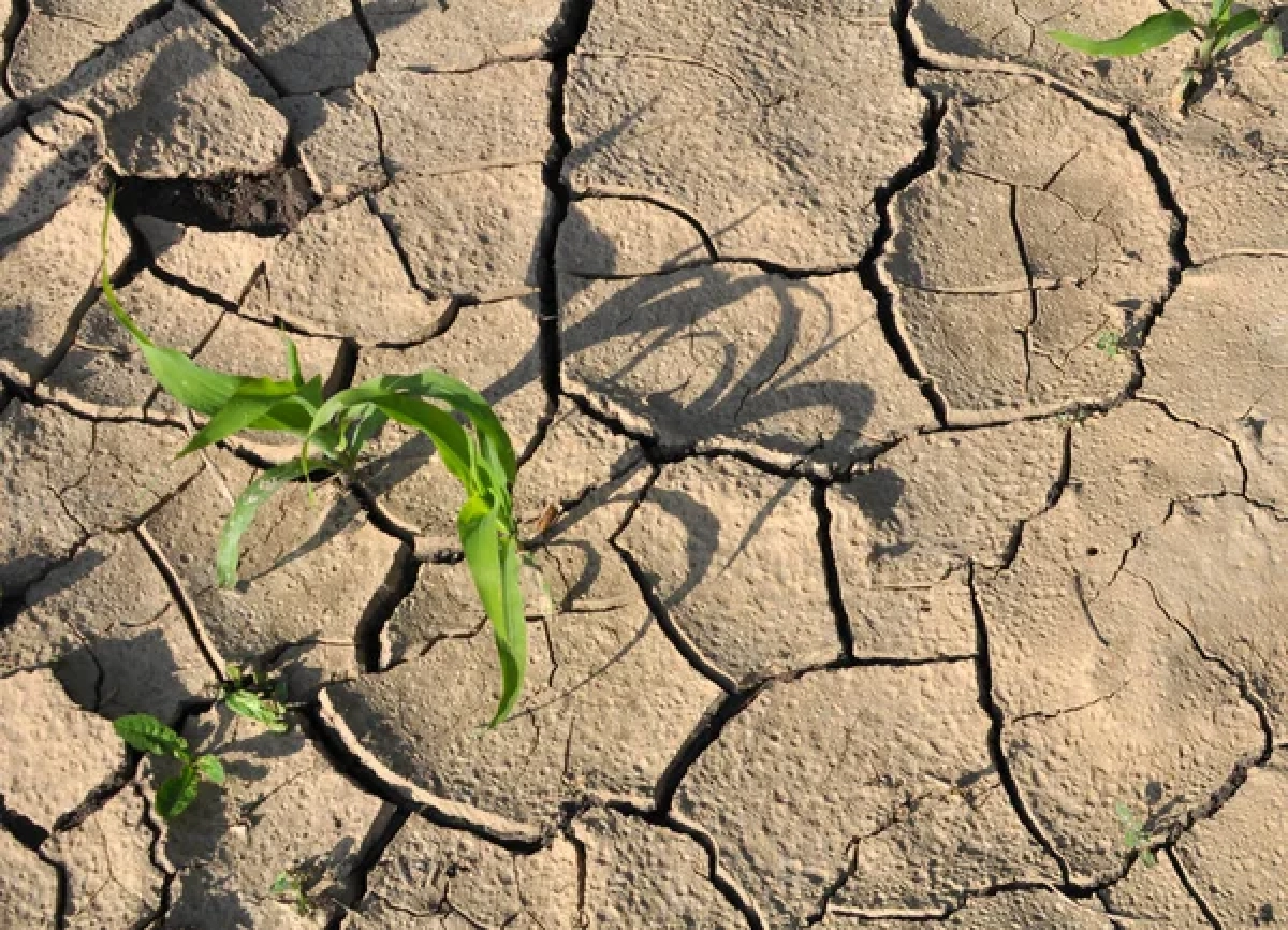 Фото: depositphotos.com