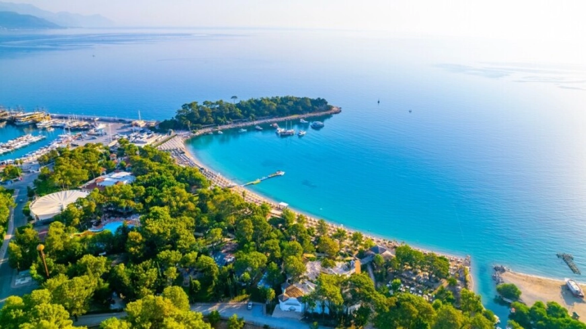 Фото: Shutterstock