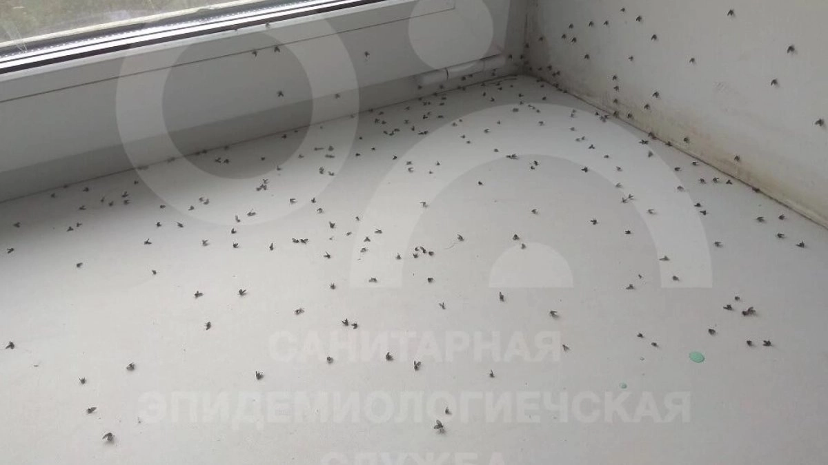 Кадр из видео/ AstanaTV