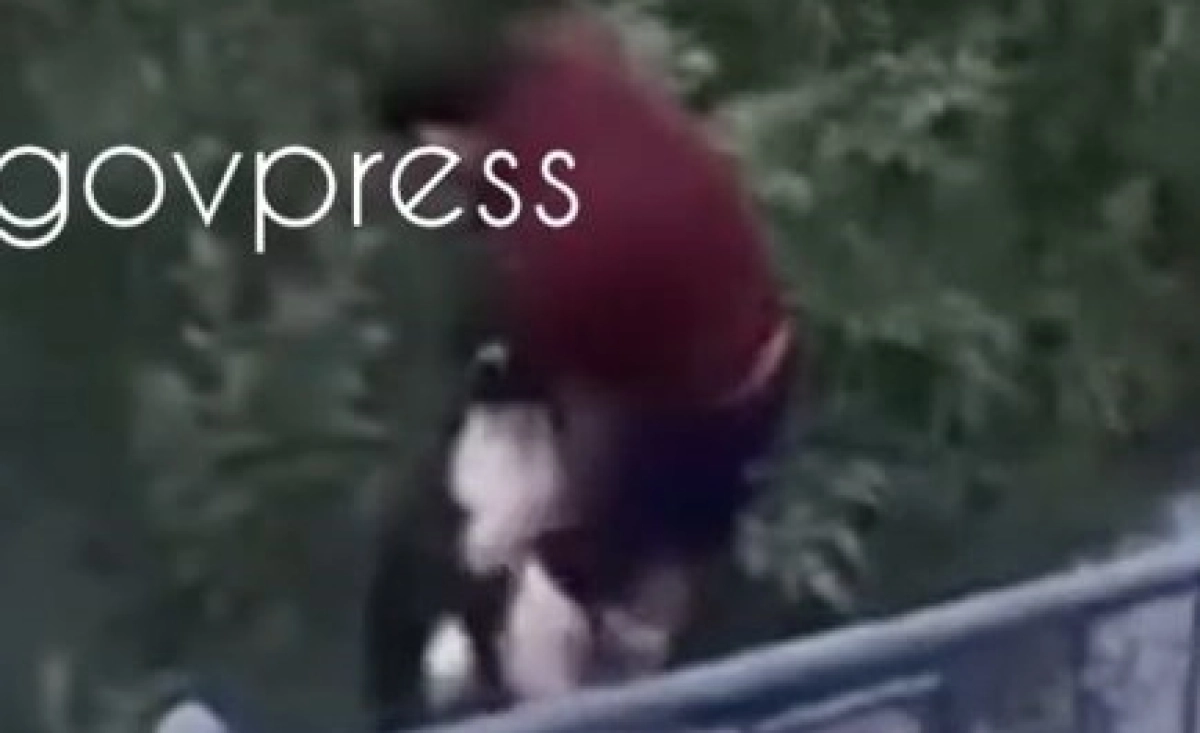 Фото: скриншот из видео