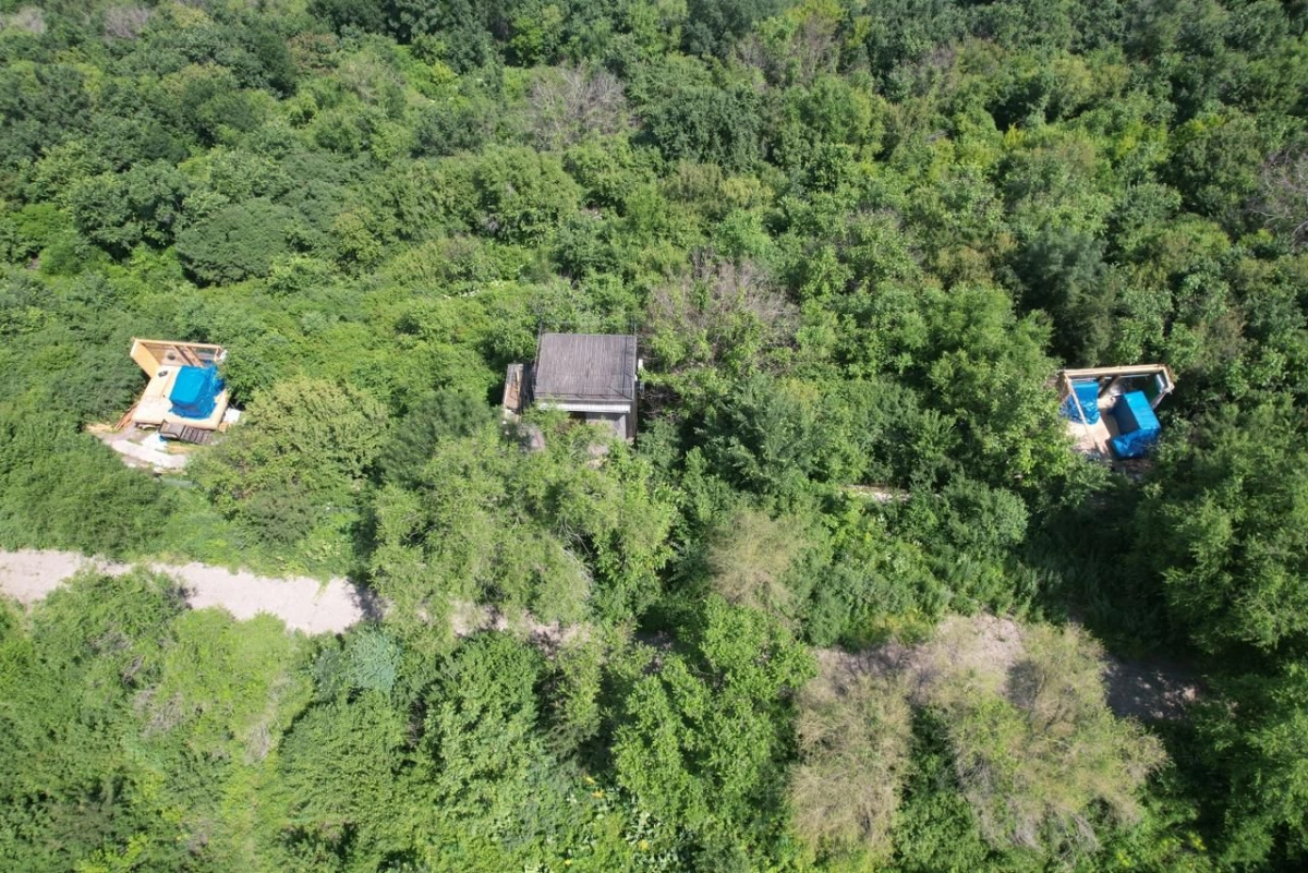 Фото: акимат Алматы