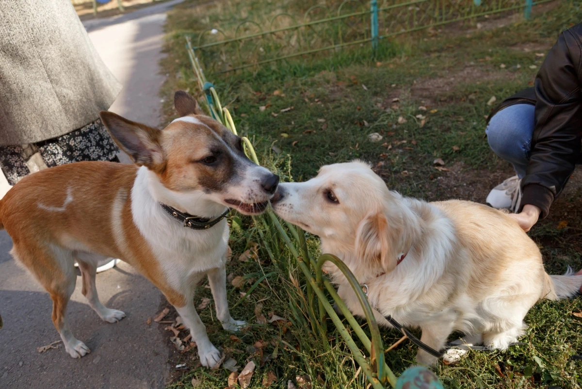 Фото: baigenews.kz