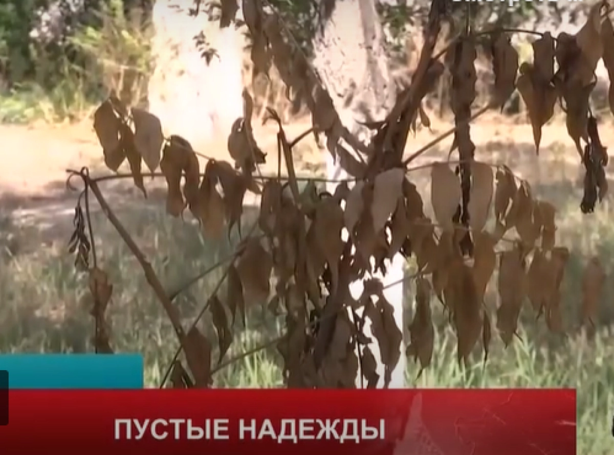 Кадр из видео/ AstanaTV