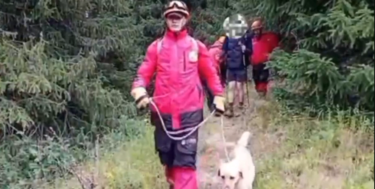 Фото: кадр из видео