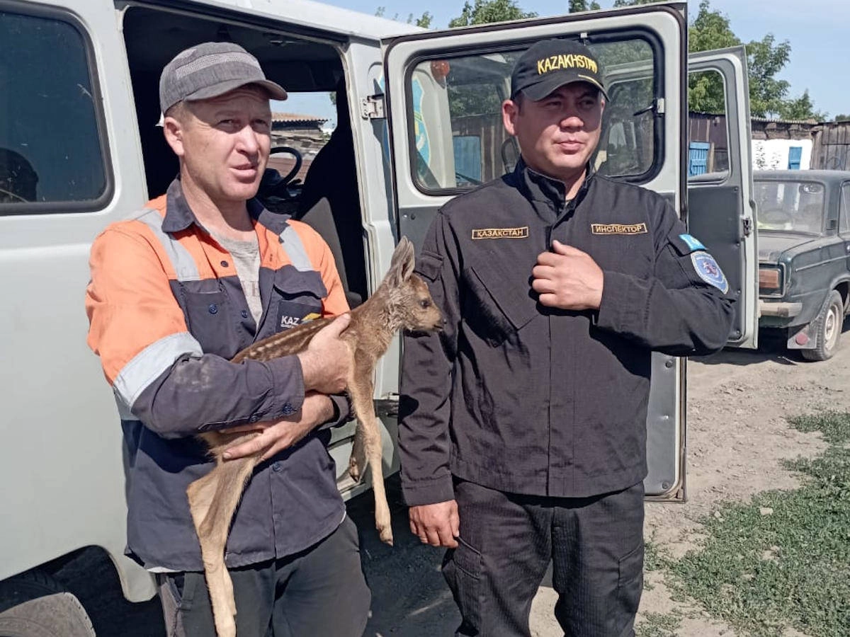 Фото: КГУ «Отряд оперативного реагирования лесного и охотничьего хозяйства»