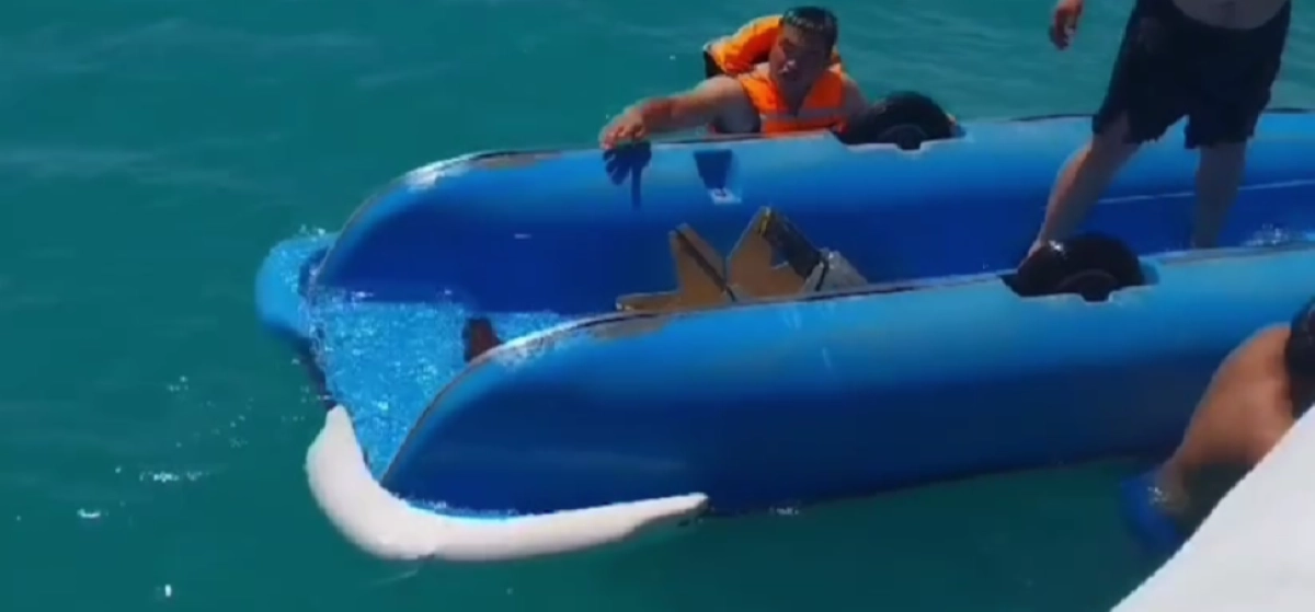 Фото: кадр из видео