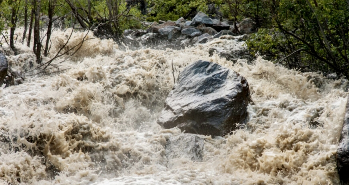 Фото: Shutterstock/FOTODOM