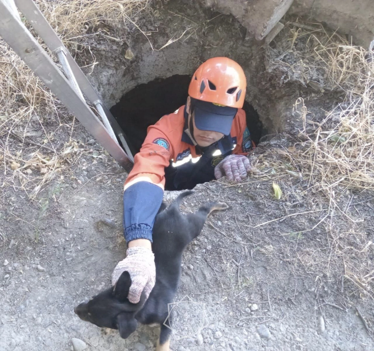 Фото: МЧС РК