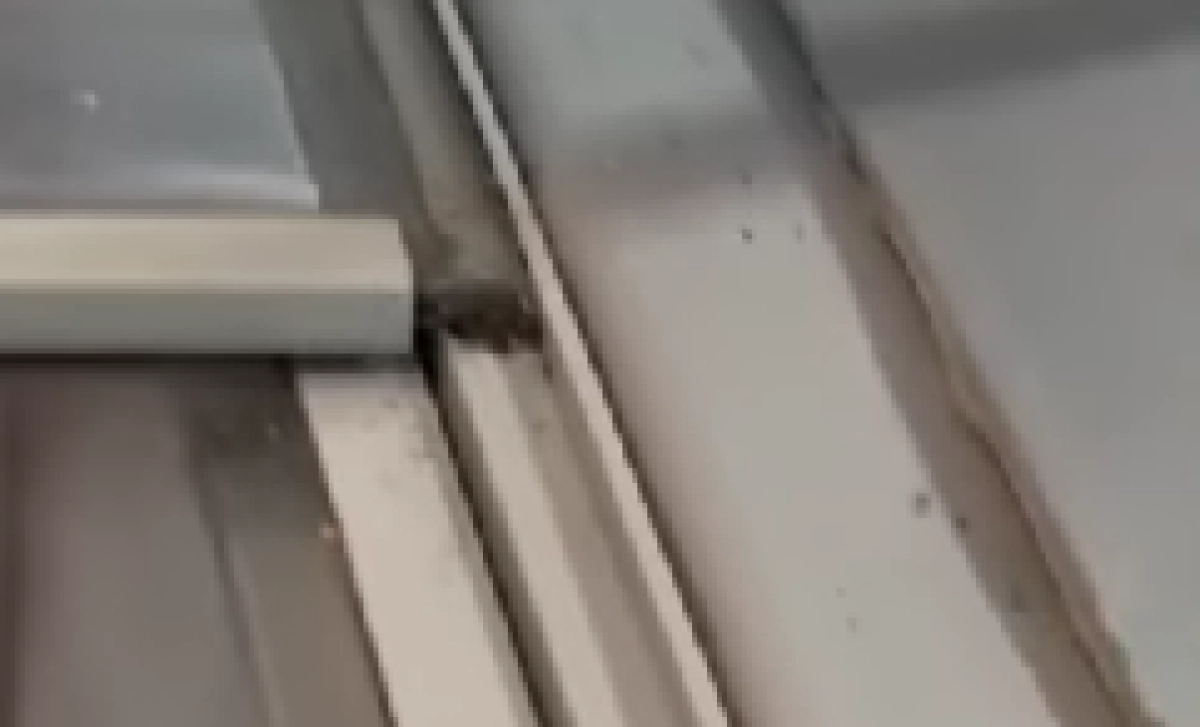 Фото: кадр из видео