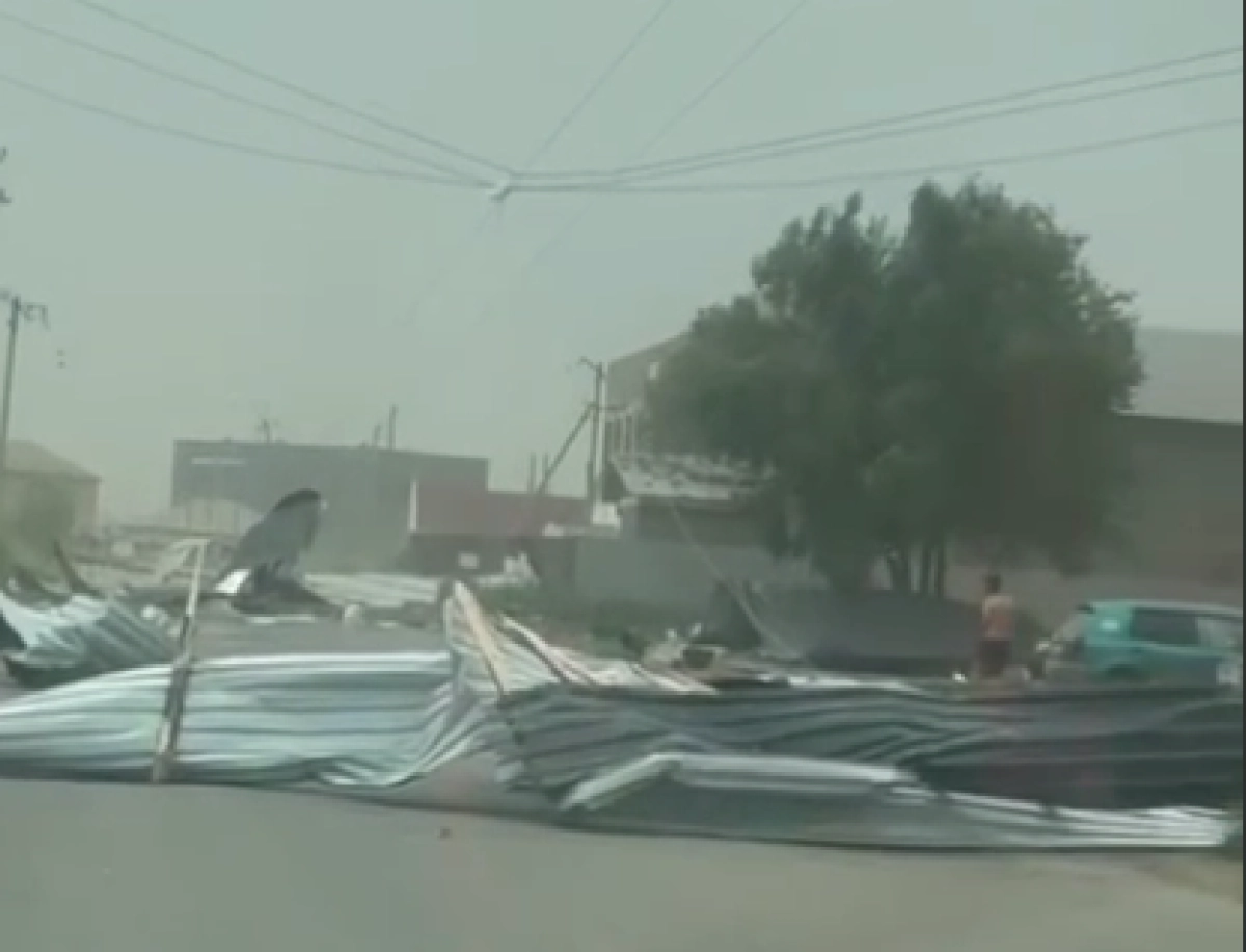 Кадр из видео