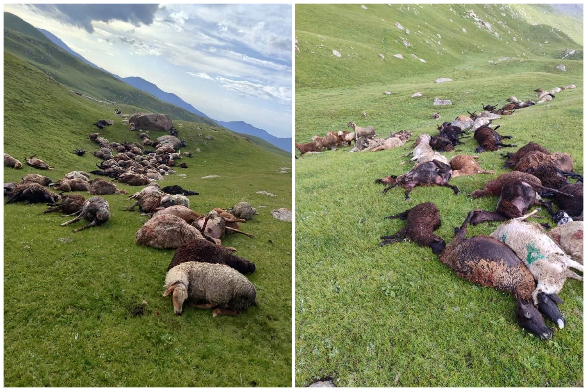 Фото: МЧС КР