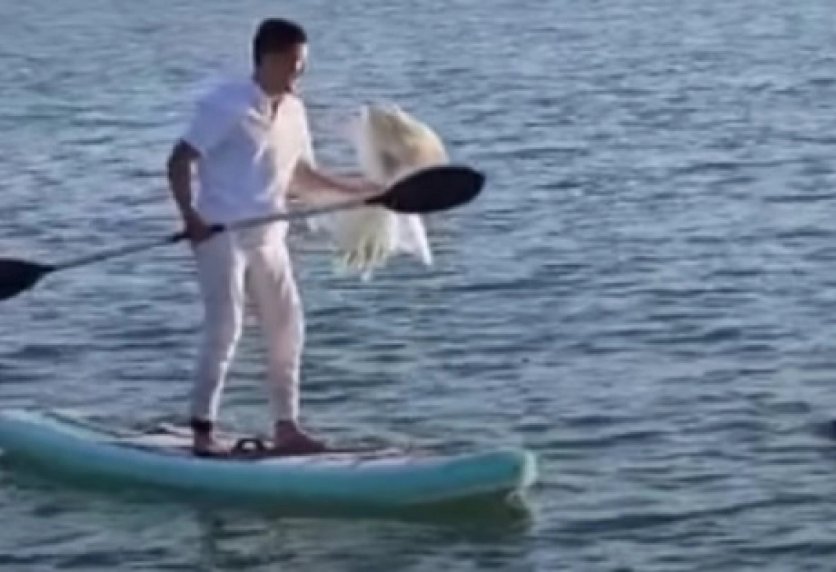 Фото: кадр из видео