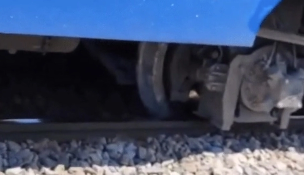 Фото: tengrinews.kz