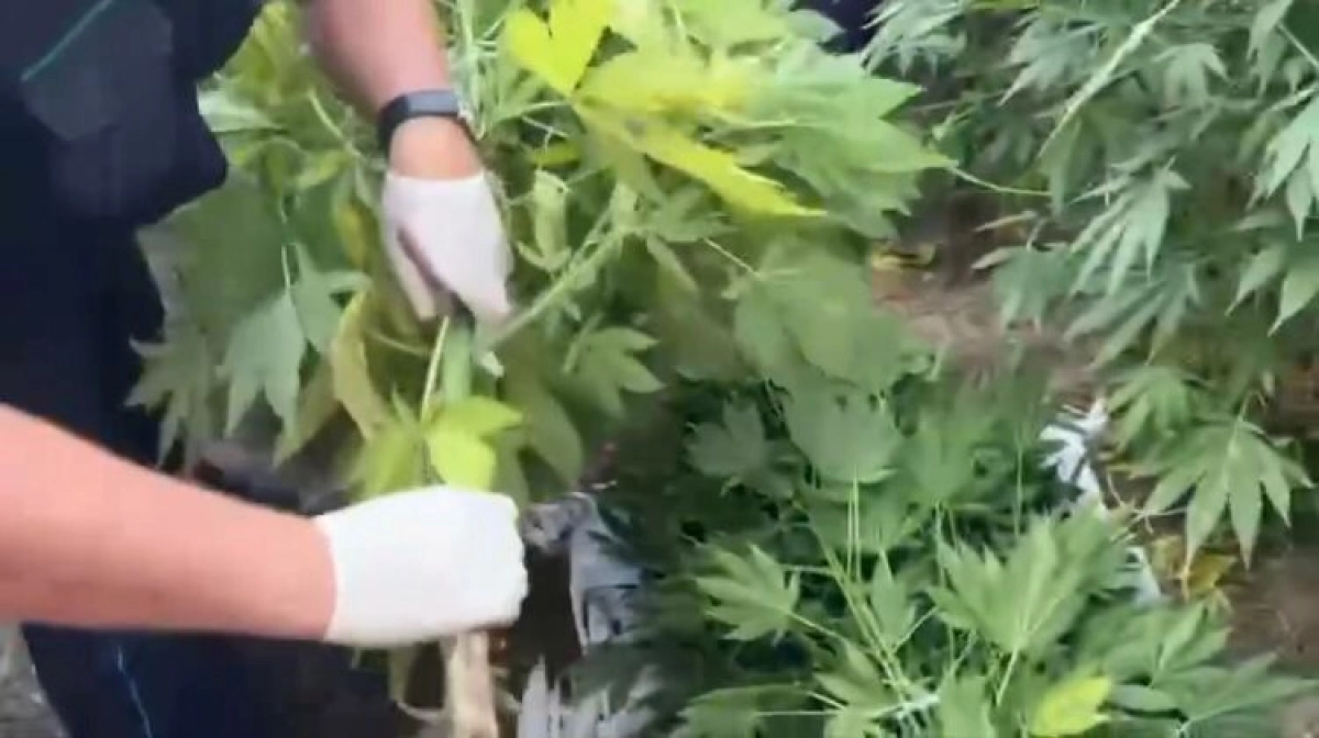 Фото: пресс-служба ДП Жамбылской области