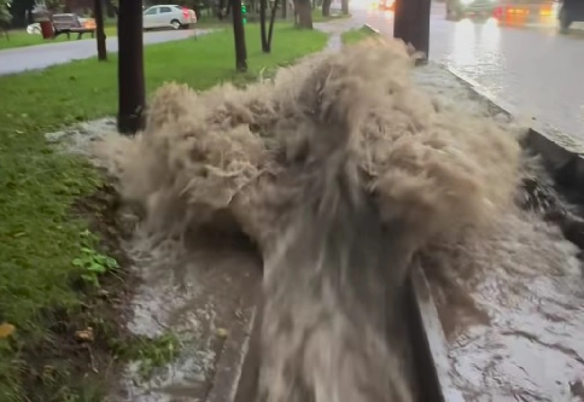 Фото: кадр из видео Instagram sxodim