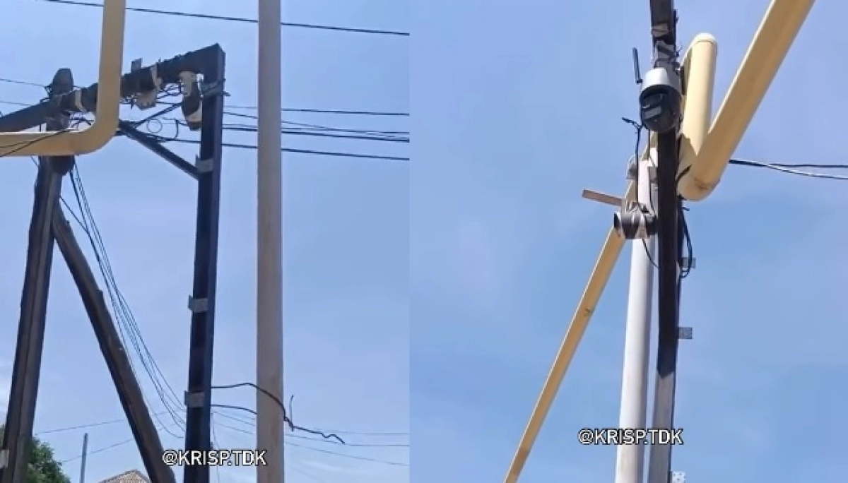 Фото: кадр из видео