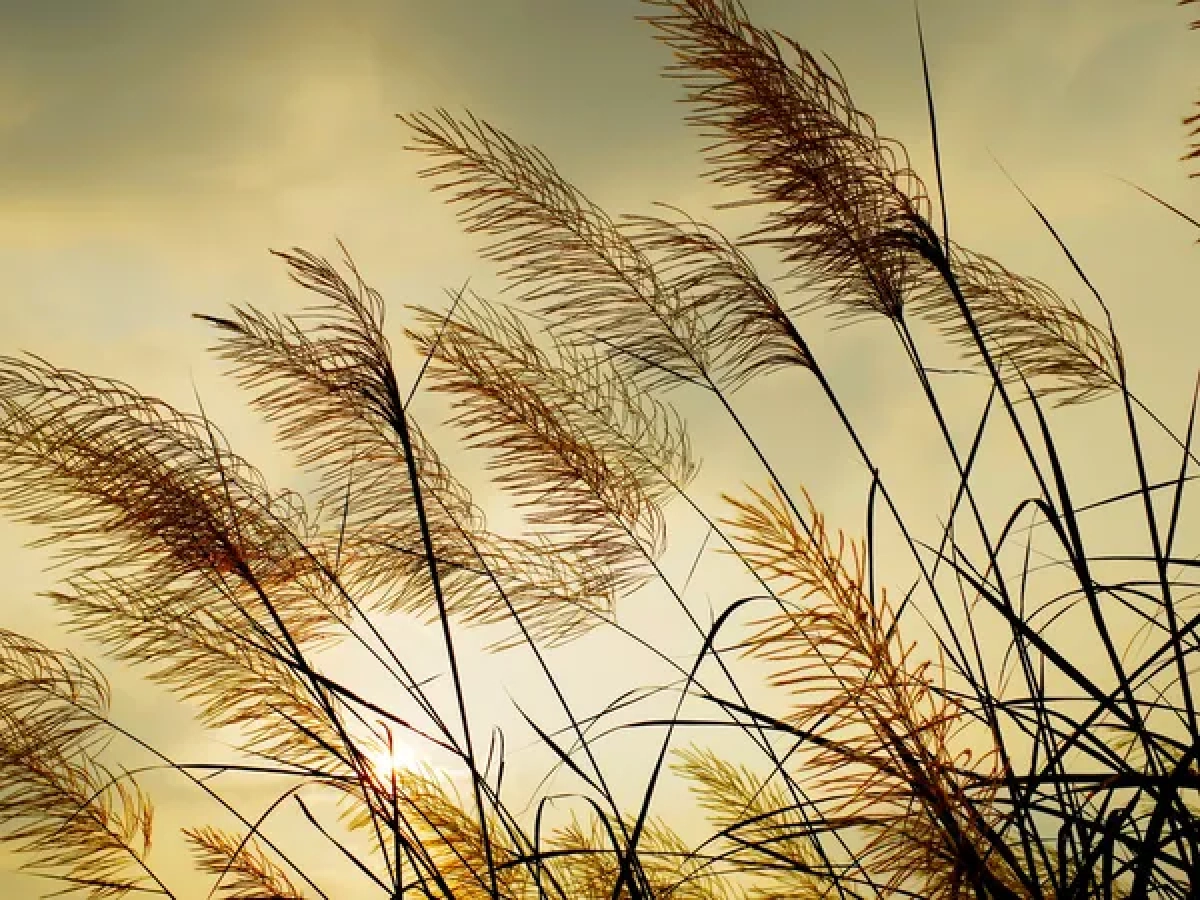 Фото: depositphotos.com