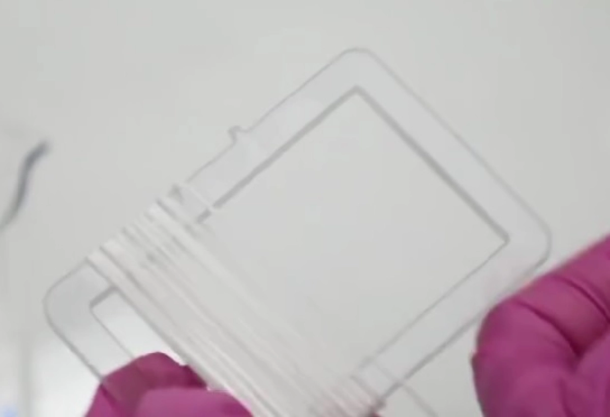 Фото: кадр из видео