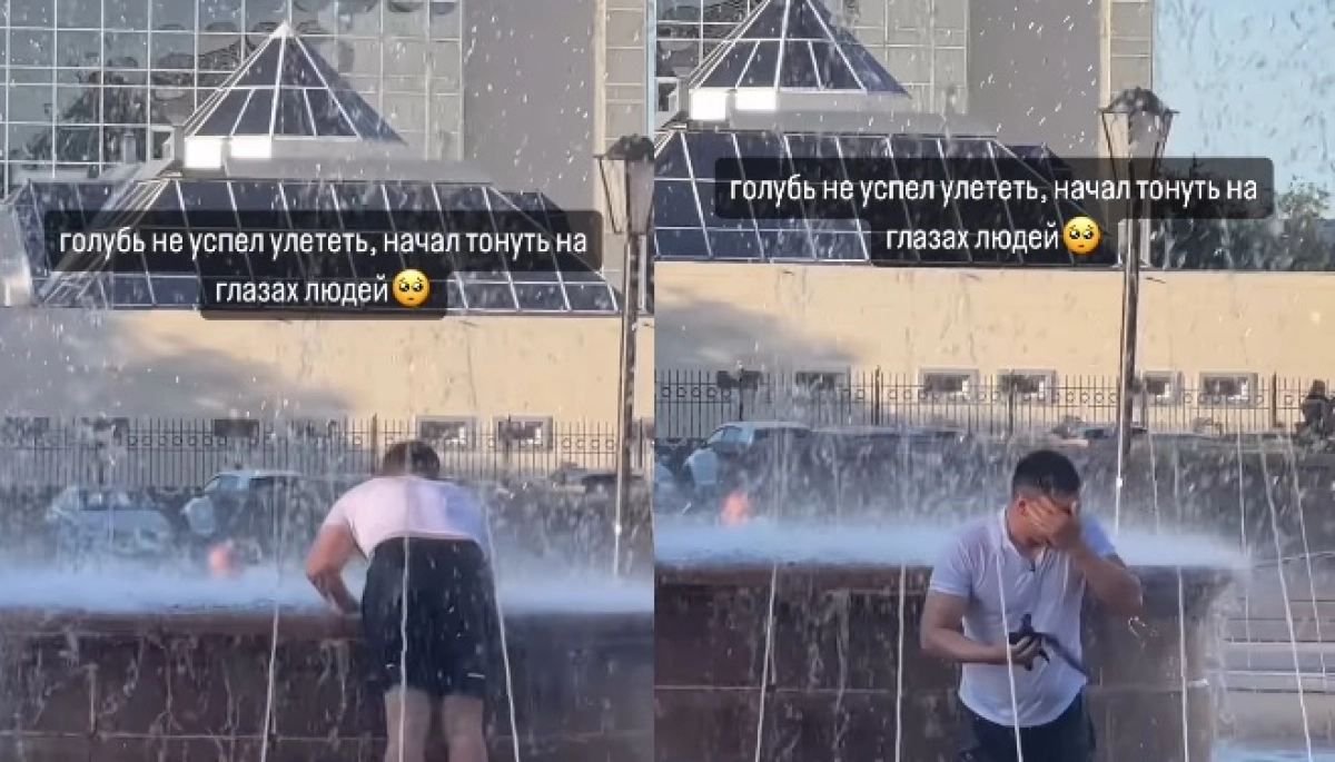 Фото: кадр из видео