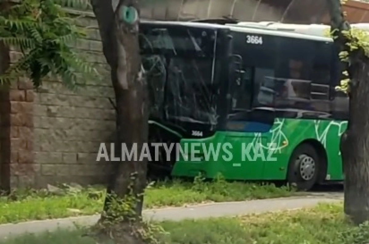 Фото: кадр из видео