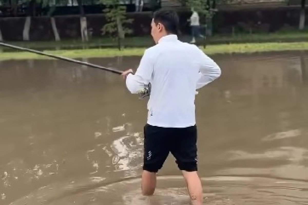 Фото: кадр из видео