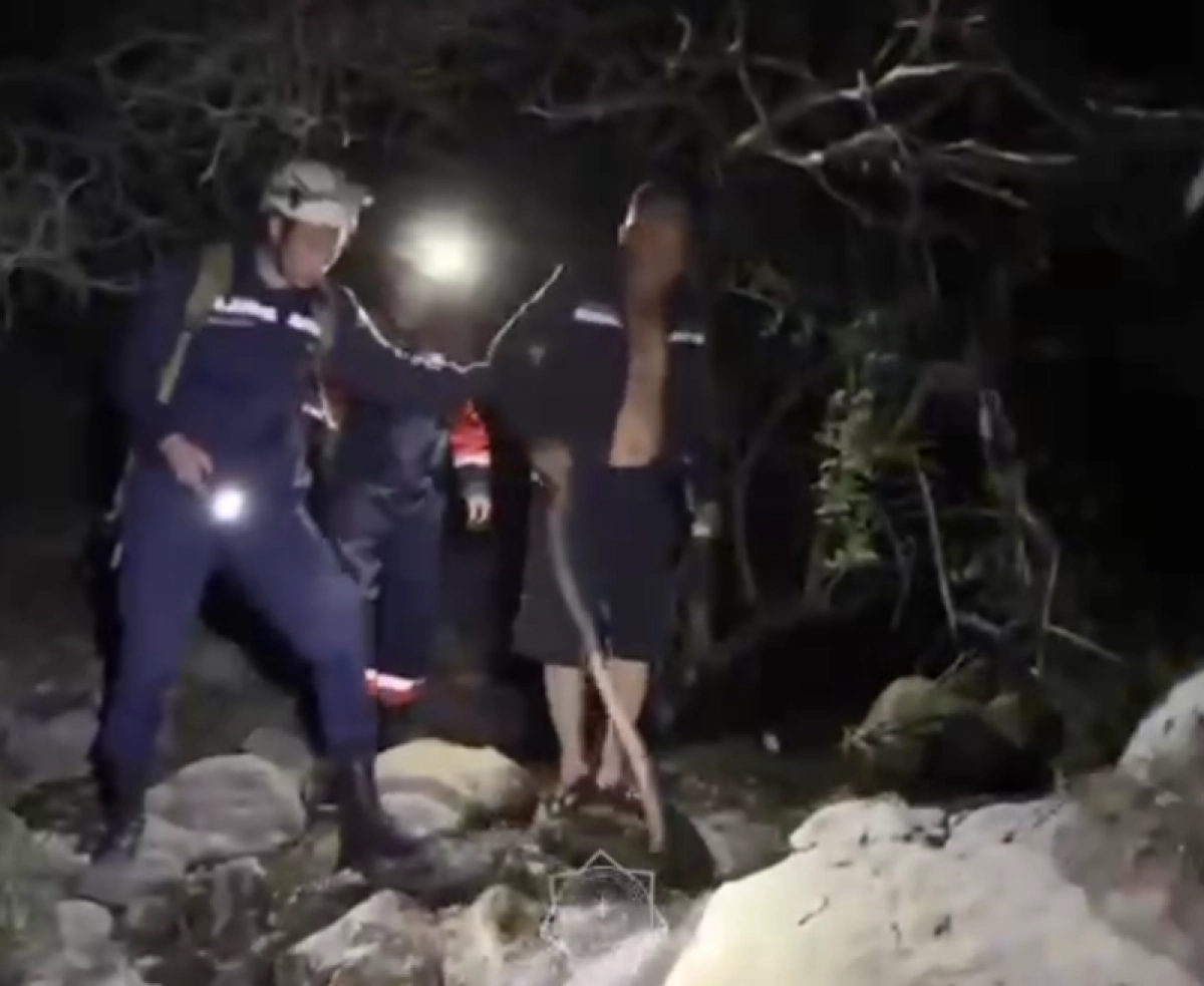 Кадр из видео