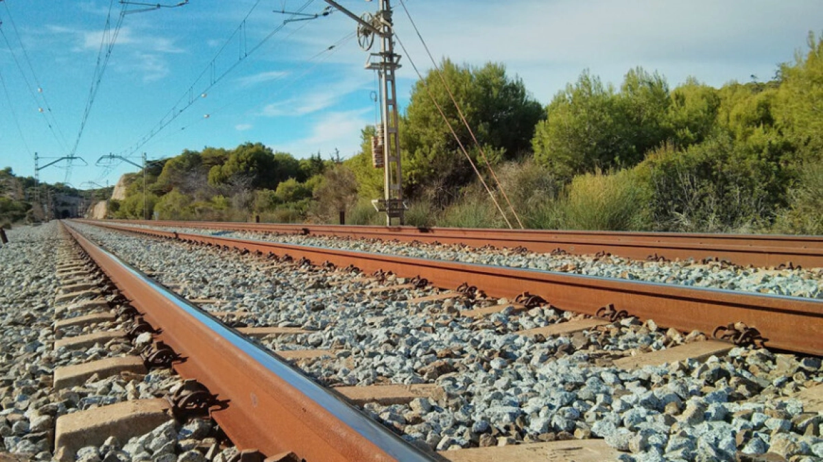 Фото: МТРК «Мир» / Евгений Жуков