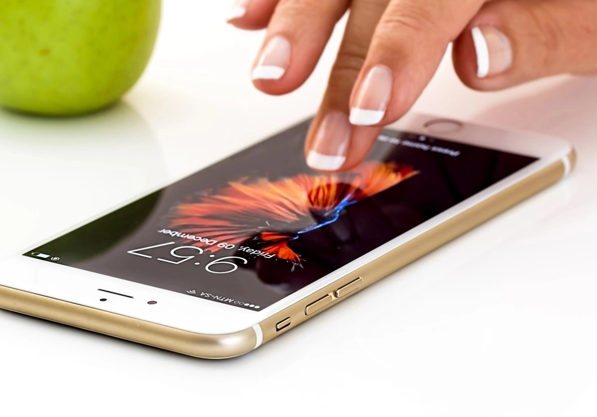 Фото: pixabay.com