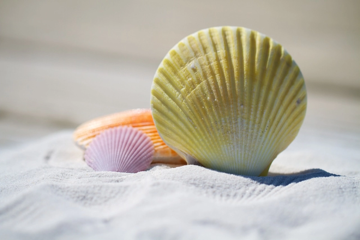 Фото: pixabay.com