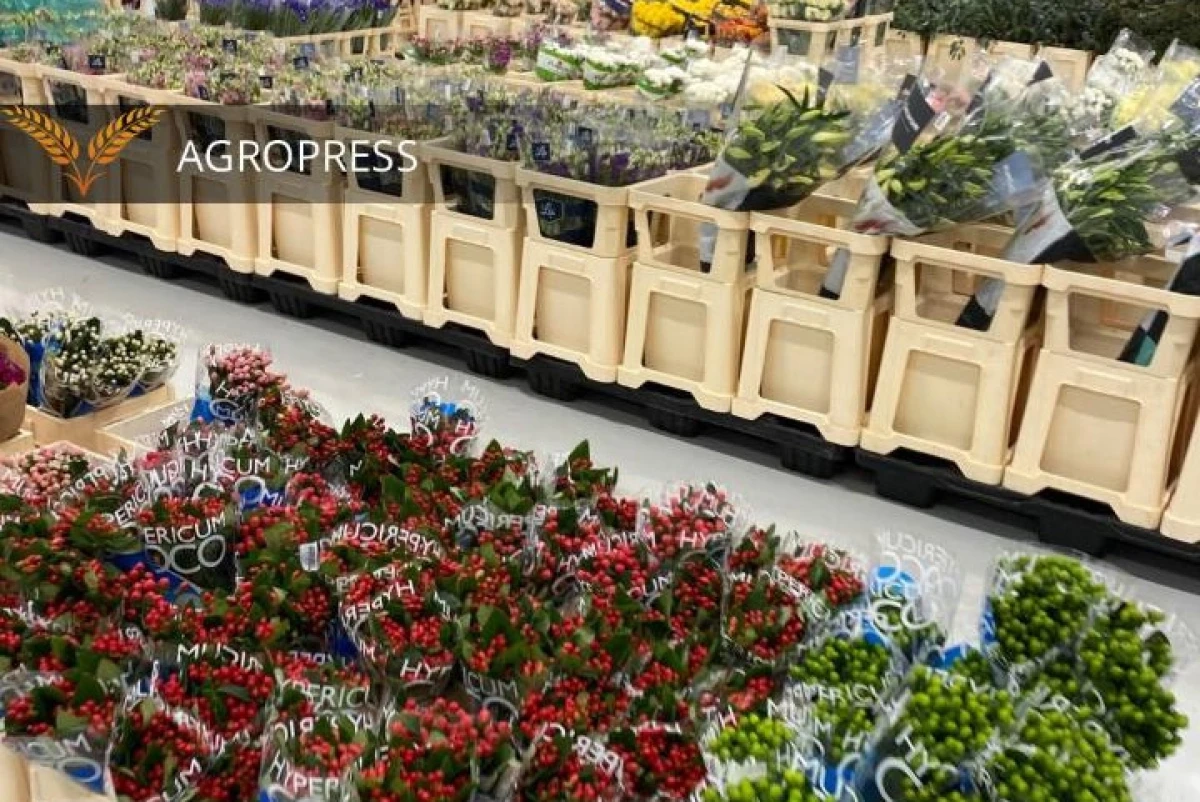 Фото: МСХ РК