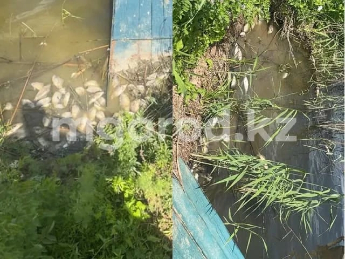 Фото: Мой Город