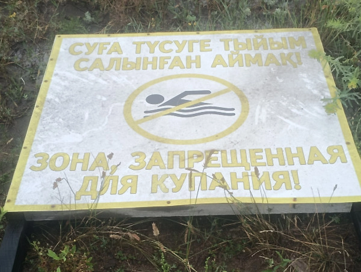 Фото Елены Пикельной