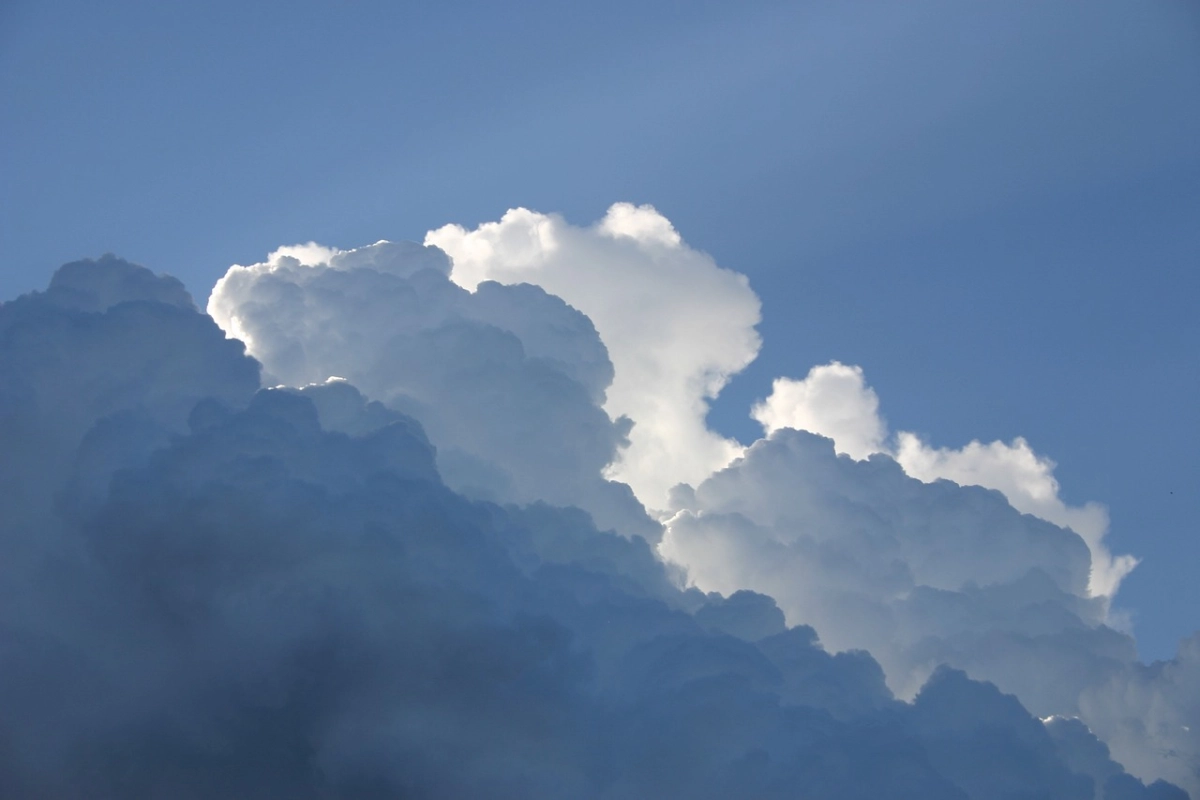 Фото: pixabay.com