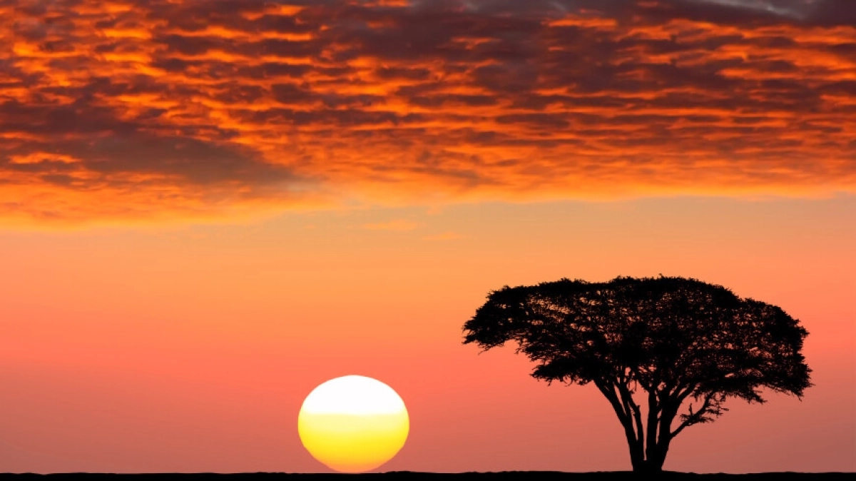 Фото: Shutterstock/FOTODOM