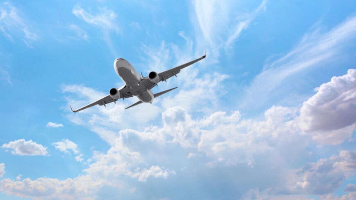 Фото: Shutterstock/FOTODOM