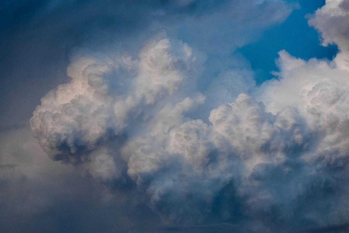 Фото: pixabay.com