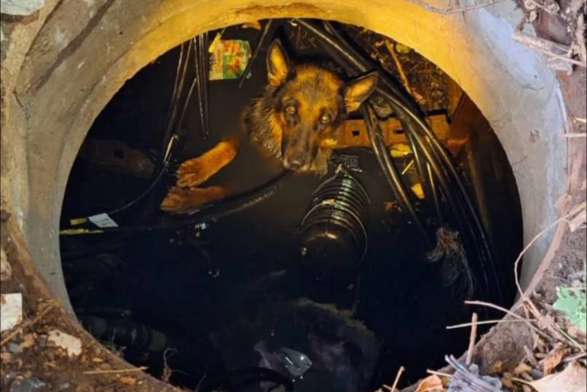 Фото: МЧС РК